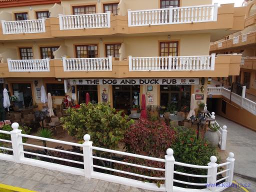 The dog and duck pub - Castillo Caleta de Fuste Fuerteventura